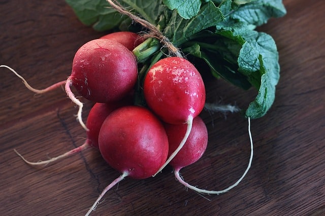 radishes