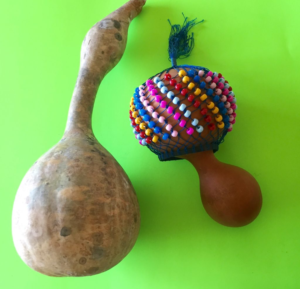 Birdhouse Gourd and Shekere