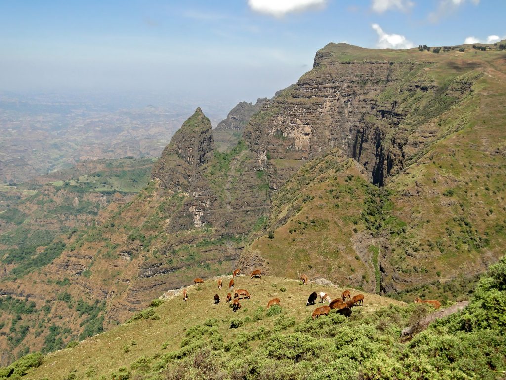 Simien Mountains National Park
