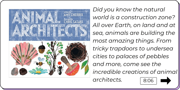 animal-architects-read-aloud-video-story