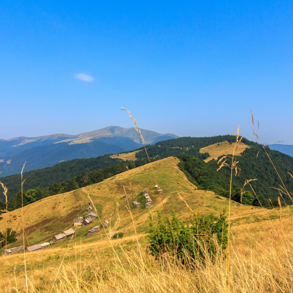 Ukrainian Carpathians