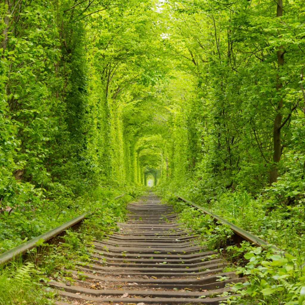 Tunnel of Love, Ukraine
