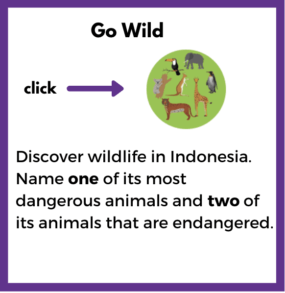 indonesia-challenge-animals