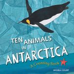 Ten-Animals-in-Antarctica