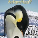 where-is-antarctica