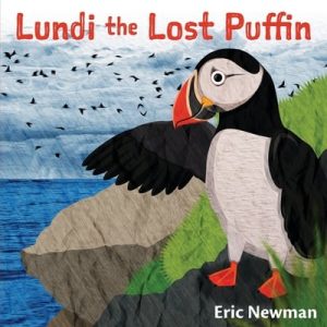 Lundi-the-lost-puffin-Iceland