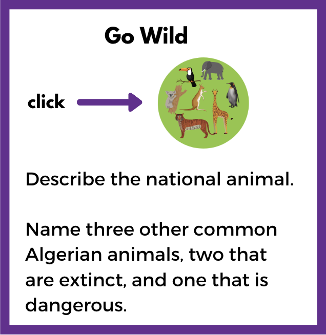 algeria-challenge-animals