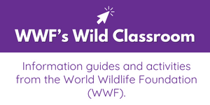 wild-classroom-wwf-educators