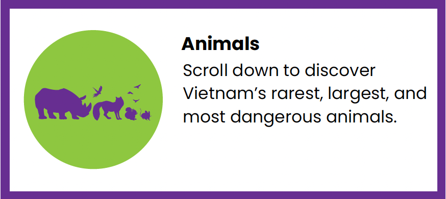 vietnam-animals