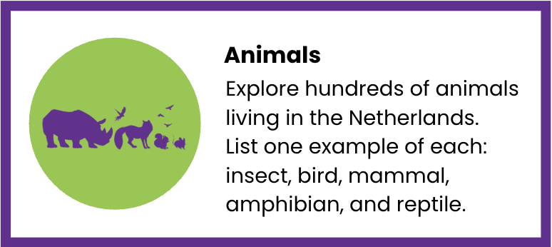 netherlands-animals