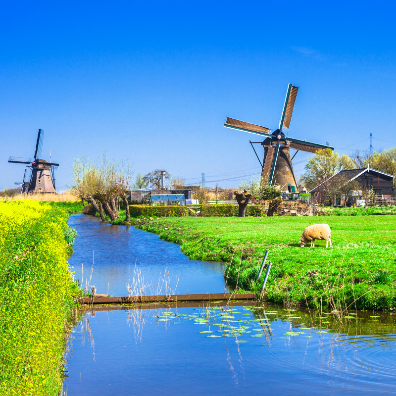 Kinderdijk-windmills