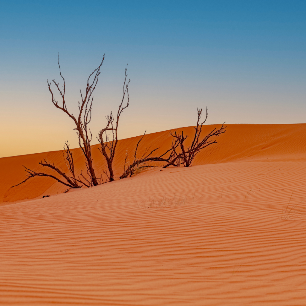 Nafud-Desert