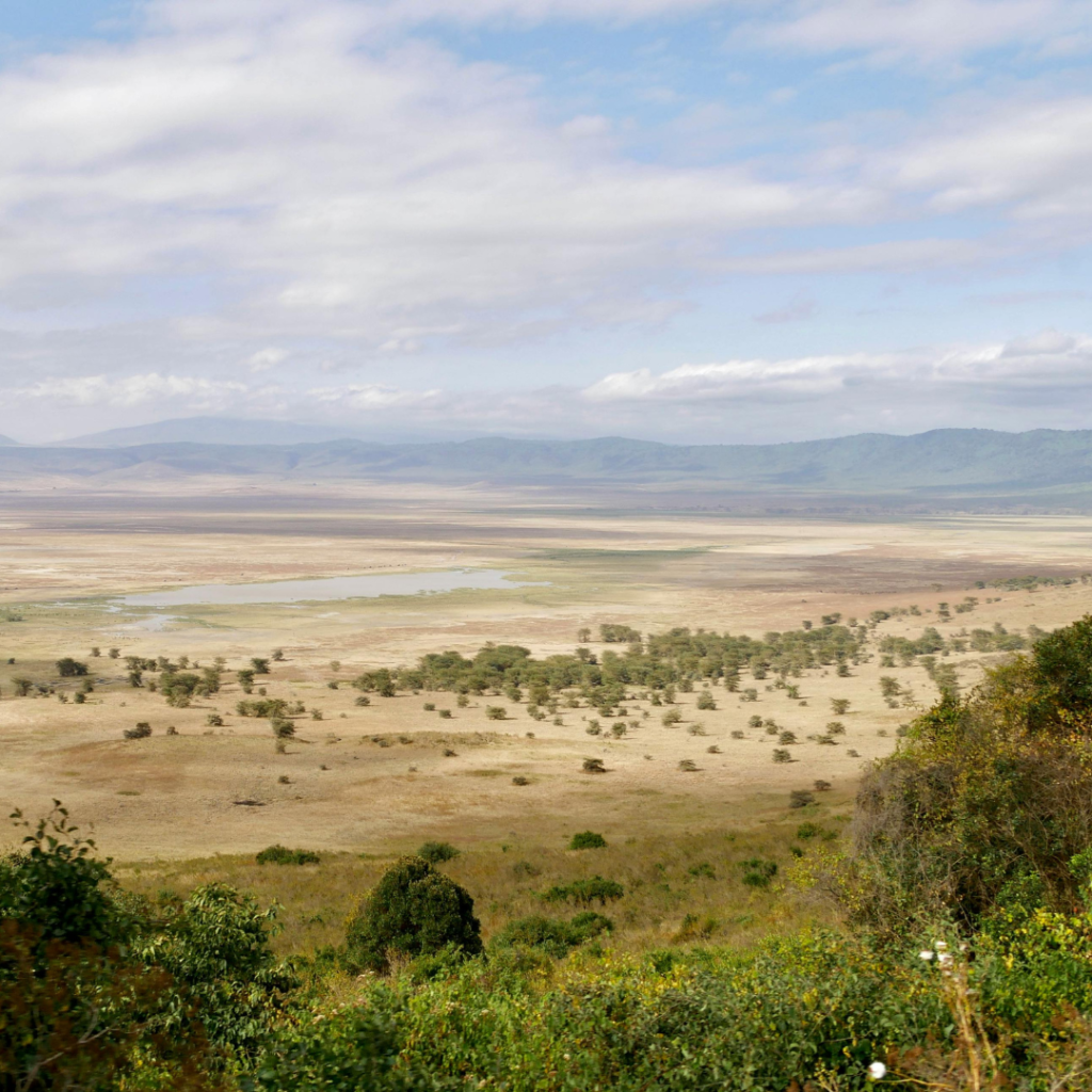 Ngorongoro-Crater
