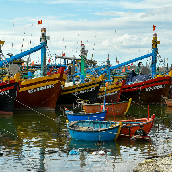 Phan-Thiet-harbor-fishing-boats