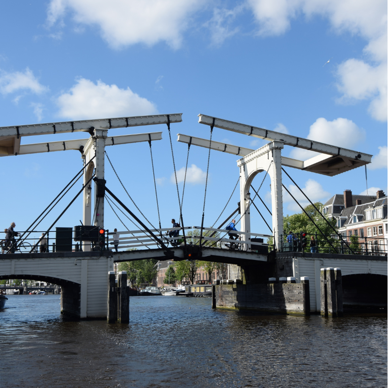 Skinny-Bridge