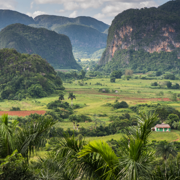 mogotes-Viñales-Valley