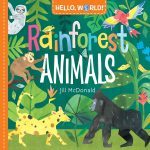 rainforest-animals